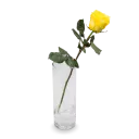 Kytice žlutých růží